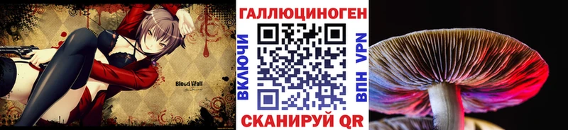 ОМГ ОМГ ONION  Зарайск  Псилоцибиновые грибы Psilocybine cubensis 